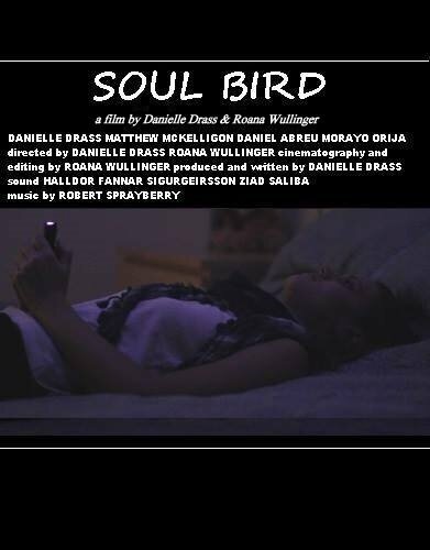 Soul Bird (2014)